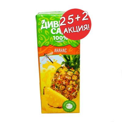 Нектар Дивный Сад ананасовый 0,2л тетрапак АКЦИЯ 25+2